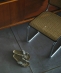 �ySHIPS EXCLUSIVE�zBIRKENSTOCK: SIENA RIVET