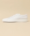 COMMON PROJECTS: Achilles ヌバック スニーカー
