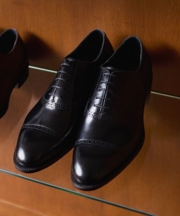 ySHIPSʒzLo spago: p`h LbvgD V[Y