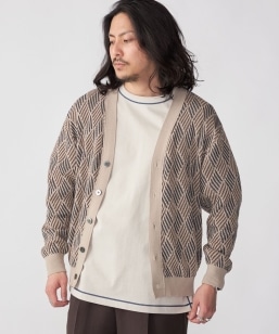 SHIPS: q􂢉\rWIgbN WJ[h J[fBK