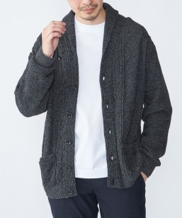 SHIPS: q􂢉\rE[Rbg A V[ J[fBK