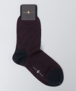 SOZZI: �R�b�g�� �o�[�Y�A�C �\�b�N�X