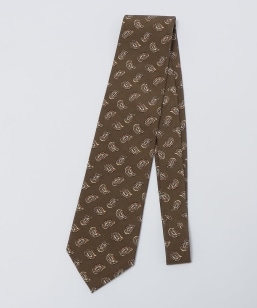 GALLIA: VN }_[ yCY[ lN^C