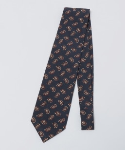 GALLIA: VN }_[ yCY[ lN^C