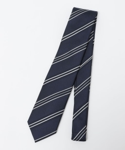 SHIPS: lCr[ \bh/XgCv/hbg lN^C