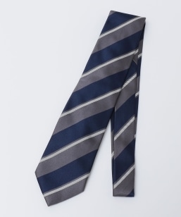 Stefanobigi: VN Ch XgCv lN^C