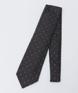 Stefanobigi: VN EF[u cC R lN^C