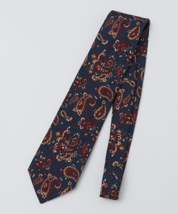 ySHIPSʒzStefano Cau: E[ vg yCY[ lN^C