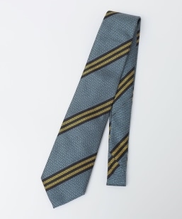 SHIPS: �C���O���b�V�� ���W�����^�� �l�N�^�C