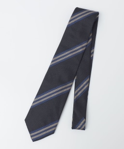 SHIPS: �C���O���b�V�� ���W�����^�� �l�N�^�C