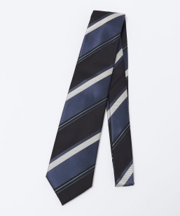 SHIPS: VN cC Te XgCv lN^C