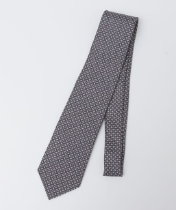 Errico Formicola: �V���N �v�����g �}�C�N�� �R���� �l�N�^�C