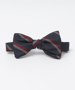 SHIPS: �V���N �o�X�P�b�g ���W�����^���X�g���C�v �{�E�^�C