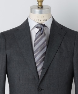 SHIPS: �V���N �f�����F �T�e�� �X�g���C�v �l�N�^�C