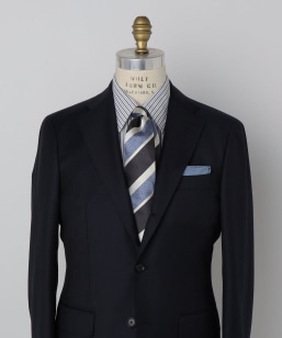 SHIPS: XiS/bv Ch XgCv lN^C