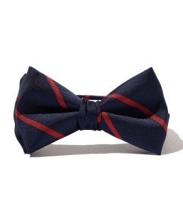 Southwick: ���W�����^���X�g���C�v �{�E�^�C