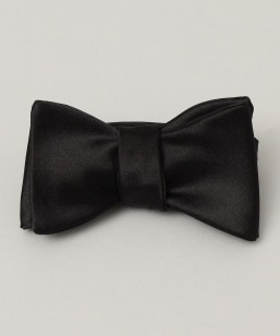 �ySHIPS�ʒ��zStefanobigi: ���n ���l�N�^�C