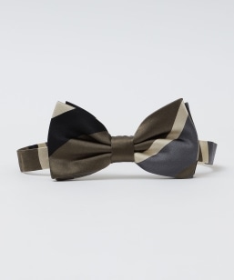 ySHIPSʒzStefano Cau: VN W^ {E^C