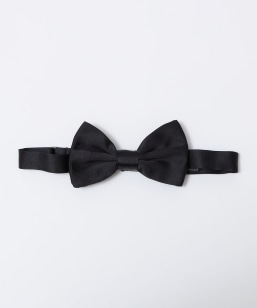 ySHIPSʒzStefano Cau: VN Te \bh {E^C