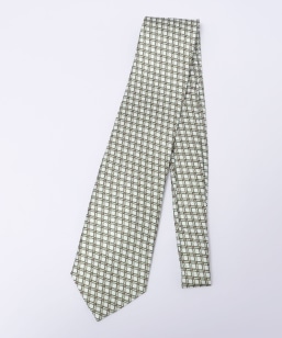 Errico Formicola: VN vg ~[ lN^C