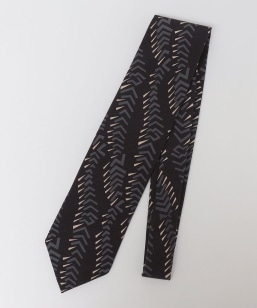 ySHIPSʒzStefano cau: w vg lN^C