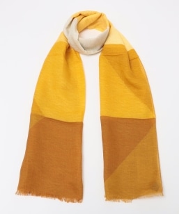 SHIPS: Rbg/l p^[ Xg[