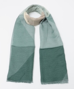 SHIPS: Rbg/l p^[ Xg[