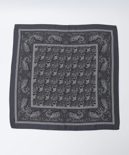 Vincenzo Miozza: yCY[ vg XJ[t