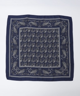 Vincenzo Miozza: yCY[ vg XJ[t