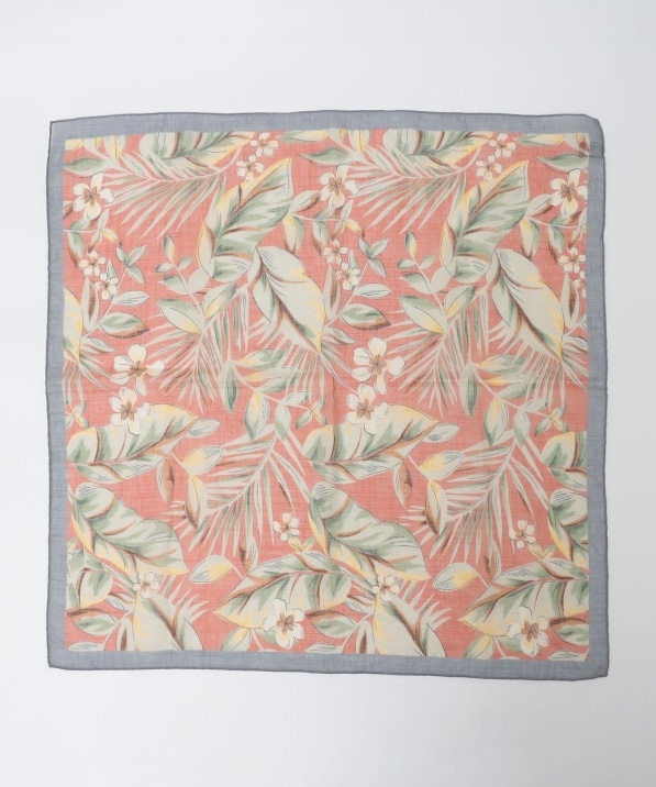 Vincenzo Miozza: �R�b�g�� ���l�� ���[�t �o���_�i