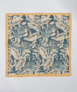 Vincenzo Miozza: �R�b�g�� ���l�� ���[�t �o���_�i