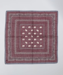 Vincenzo Miozza: �R�b�g�� ���l�� �G���t�@���g ���`�[�t �o���_�i