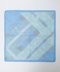 Vincenzo Miozza: �R�b�g�� ���l�� �`�F�b�N �X�J�[�t