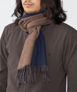 SHIPS: \bh JV~ _utFCX }t[