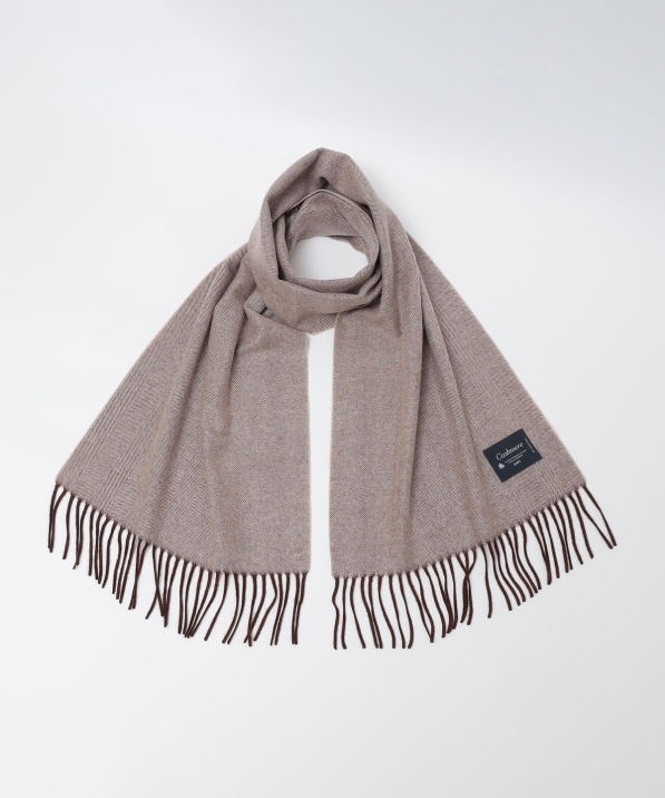 SHIPS: JV~ w{[ o[Vu }t[