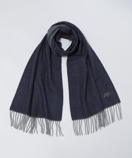 SHIPS: JV~ w{[ o[Vu }t[