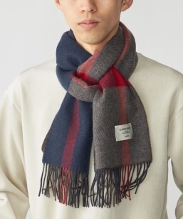 SHIPS: JV~ _utFCX `FbN }t[