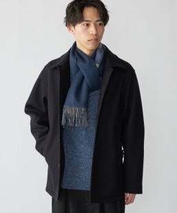 SHIPS: JV~ _utFCX `FbN }t[