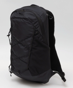 SALOMON: XT 15