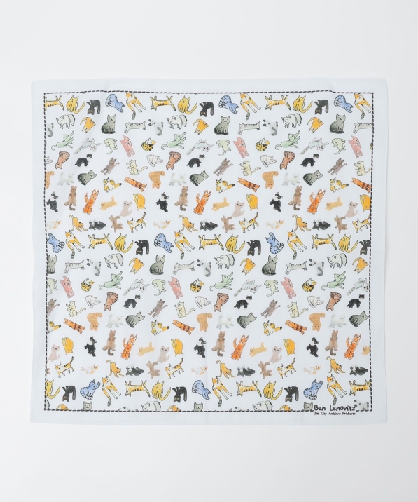 �yCity Ambient Products�ʒ��zBen Lenovitz: �n���J�`�[�t