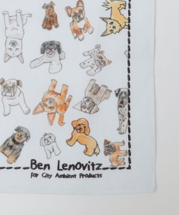 �yCity Ambient Products�ʒ��zBen Lenovitz: �n���J�`�[�t