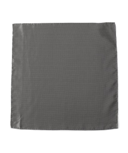 SHIPS: VN Te hbg |Pbg`[t