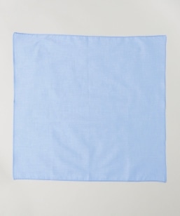 GRAZIINA: �T�b�N�X�u���[ ���n �|�P�b�g�`�[�t