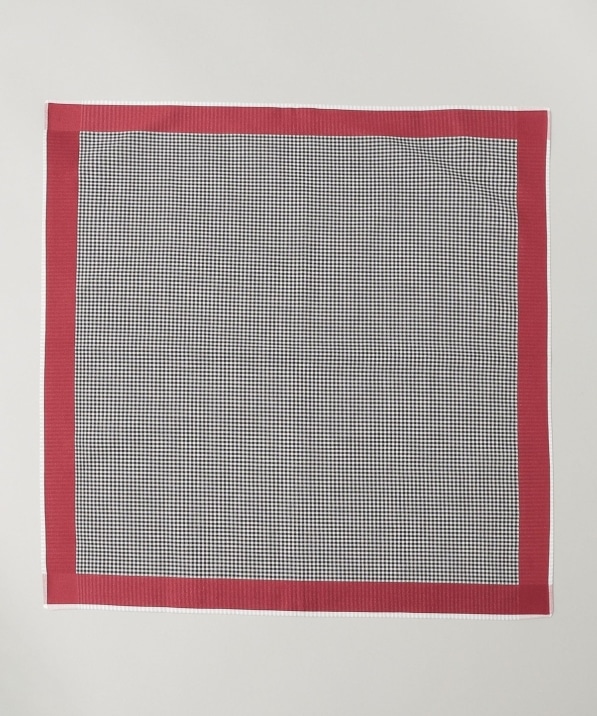 GRAZIINA: 璹iq |Pbg`[t