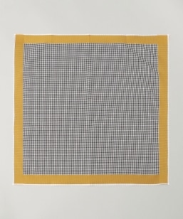 GRAZIINA: 璹iq |Pbg`[t