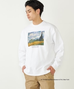 SHIPS Colors:THE MET R{ vg XEFbg