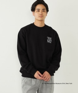 SHIPS Colors:THE MET R{ vg XEFbg