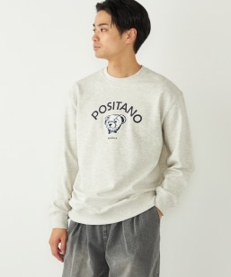 sꕔǉ\tSHIPS Colors:TeddyBear(R) XEFbg 2