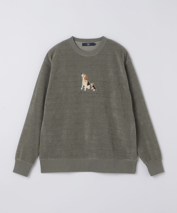 SHIPS別注エンブロイダリー刺繍ジャケット エンブロイダリー カットコール スウェット｜ SHIPS 公式サイト