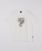 SHIPS Colors:TeddyBear(R) �R���{ T�V���c��